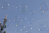 bulles de savon