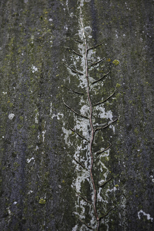 2011-10-09 prouais - chateau d'eau