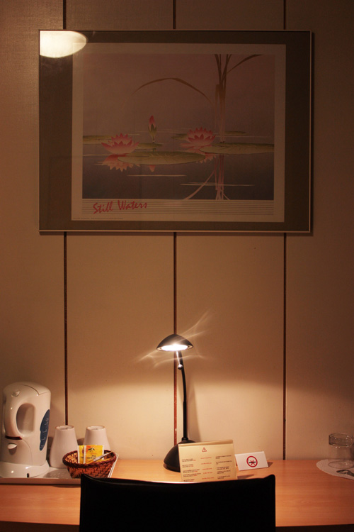 2008-10-31 lausanne - tableau hotel