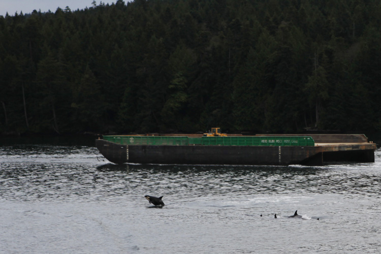 2012-07-20 vancouver - ferry