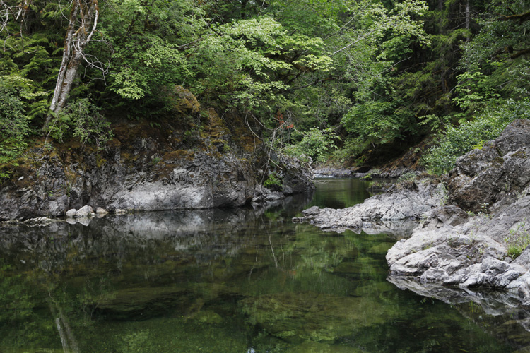 2012-07-21 vancouver island - kinsol trestle