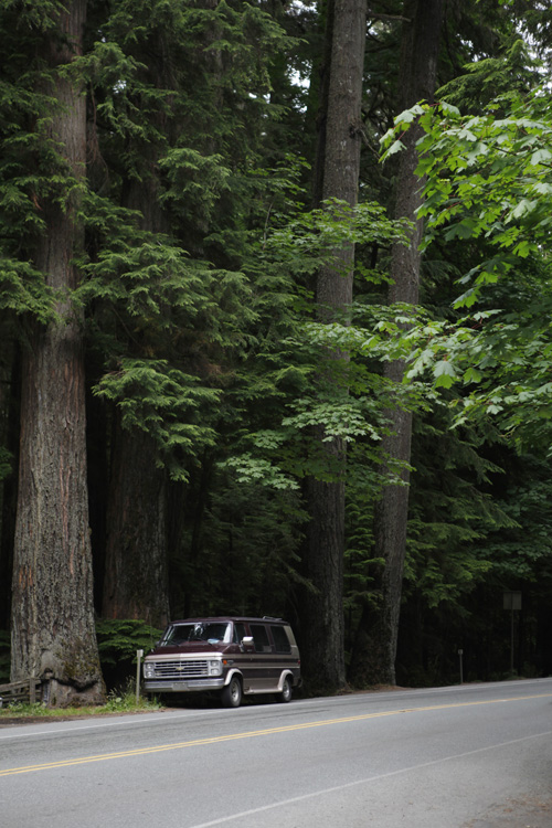 2012-07-22 vancouver island - cathedral grove