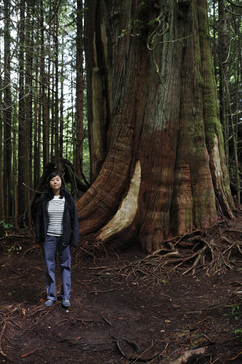 2012-07-23 vancouver island - pacific rim