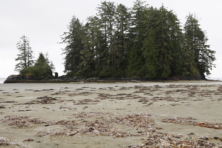 2012-07-23 vancouver island - pacific rim