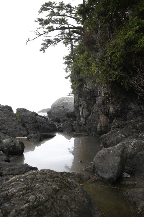 2012-07-23 vancouver island - pacific rim