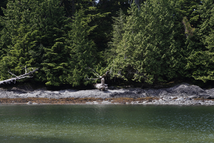 2012-07-24 vancouver island - ucluelet