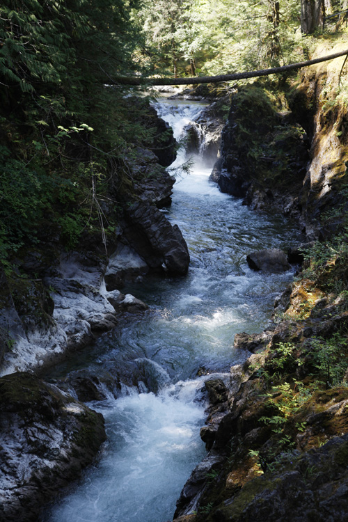 2012-07-25 vancouver island - little qualicum