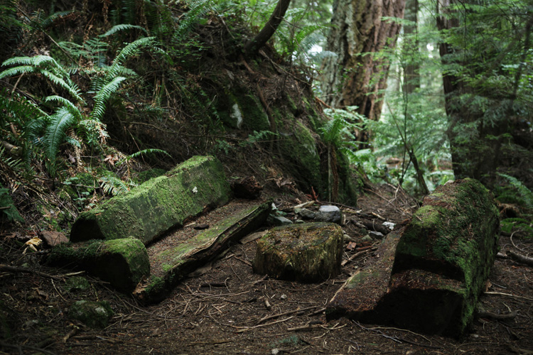 2012-07-30 vancouver - lighthouse park