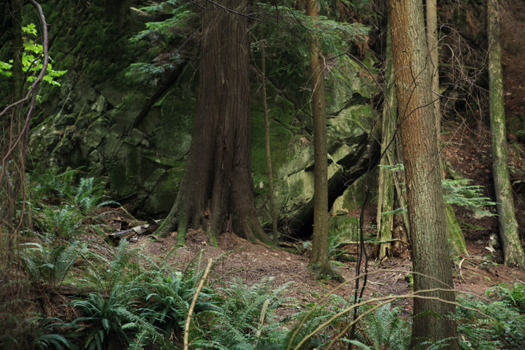 2012-07-30 vancouver - lighthouse park