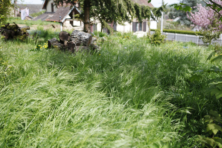 2013-05-04 marcilly - jardin