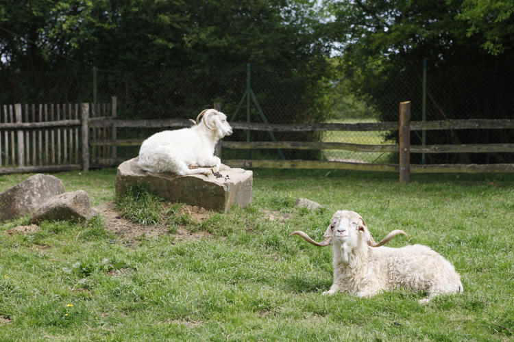 2013-05-10 mouton village