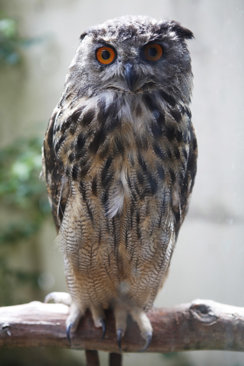 2013-08-16 - balines