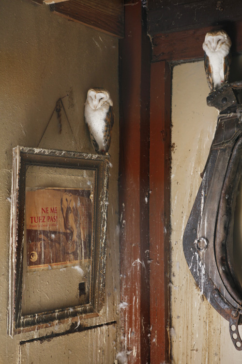 2013-08-16 - balines