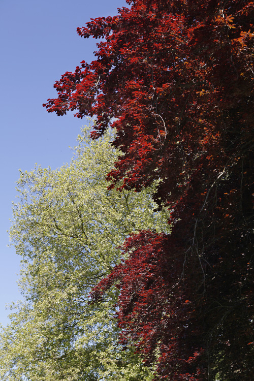 2014-05-15 bec hellouin