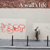 A wall's life