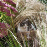 2024-09-15 jardin - mimi