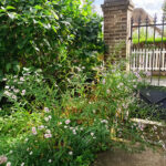 2024-09-27 maison - portillon