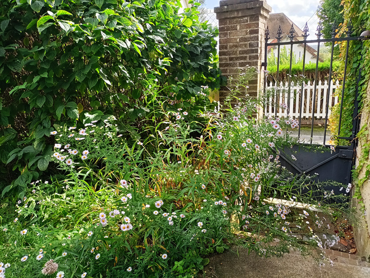 2024-09-27 maison - portillon